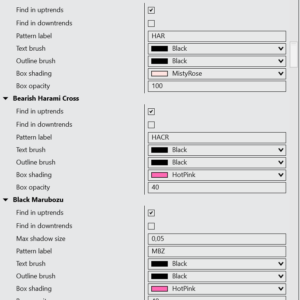 Indicator settings panel showing options to customize detected patterns and apply ZigZag filtering for noise reduction.