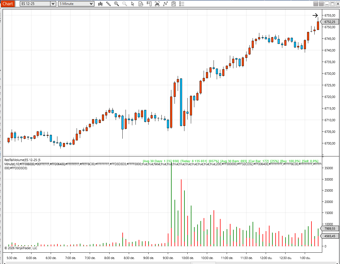 RedTail Trading Suite – NinjaTrader 8 - Image 24